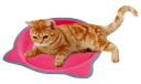 ツメとぎトレイ 鍋型(猫用爪とぎ)