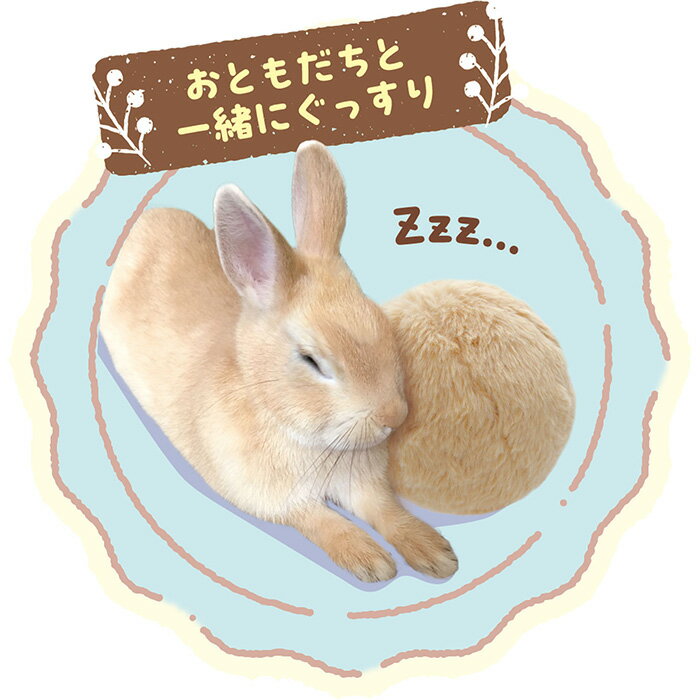 たち耳ちゃんのうさけつボールの紹介画像3