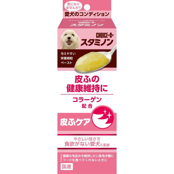 チョイスプラス スタミノン 皮ふケア 40g