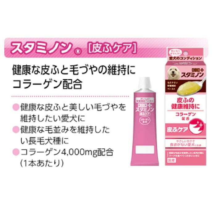 チョイスプラス スタミノン 皮ふケア 40g
