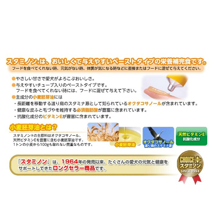 チョイスプラス スタミノン 皮ふケア 40g