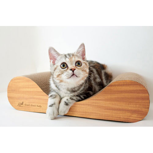 ���ꥬ�꥽�ե�������å��㡼 ����ƥꥢ �ߥ� �饤�ȥ֥饦��