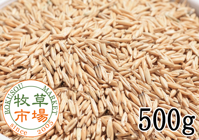 良質な殻付きエン麦です。殻なしと比較して食物繊維が豊富です。うさぎをはじめとする小動物のおやつです。ペットのおやつとして適量を与えてください。また、ストレス解消、ペットとのスキンシップにも適しています。 ウサギ・チンチラ・プレーリードッグ・モルモットなどに！ 内容量 500g 原材料 殻つきエン麦 メーカー 牧草市場 対象 ウサギ・チンチラ・モルモット・小動物全般