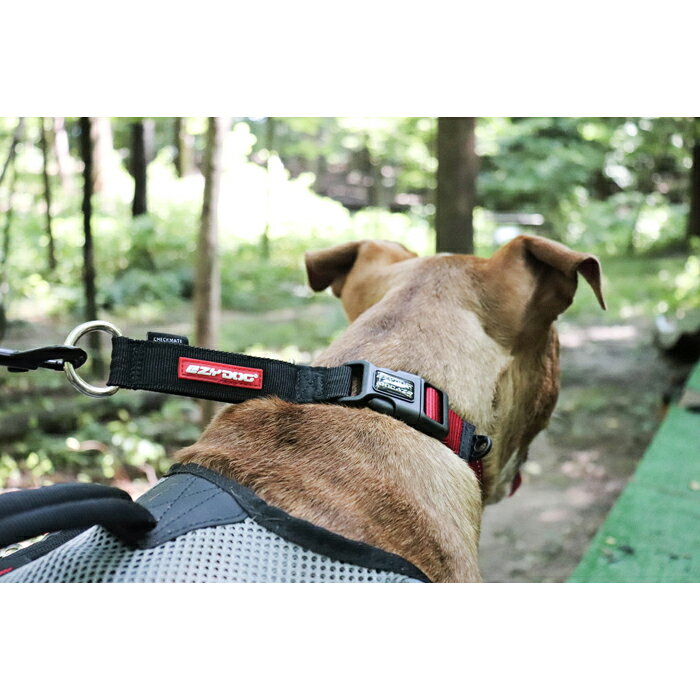 EZYDOG（イージードッグ） チェックメイト ブラック 中型犬 M