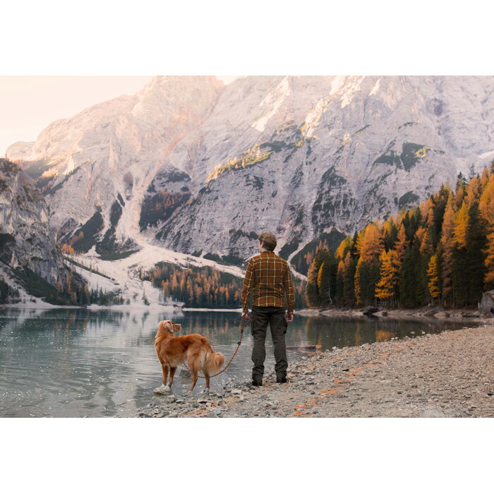 EZYDOG�ʥ��������ɥå��� ���ߥåȥ꡼�ɥ饤�� ���������淿�� 6mm �֥�å�