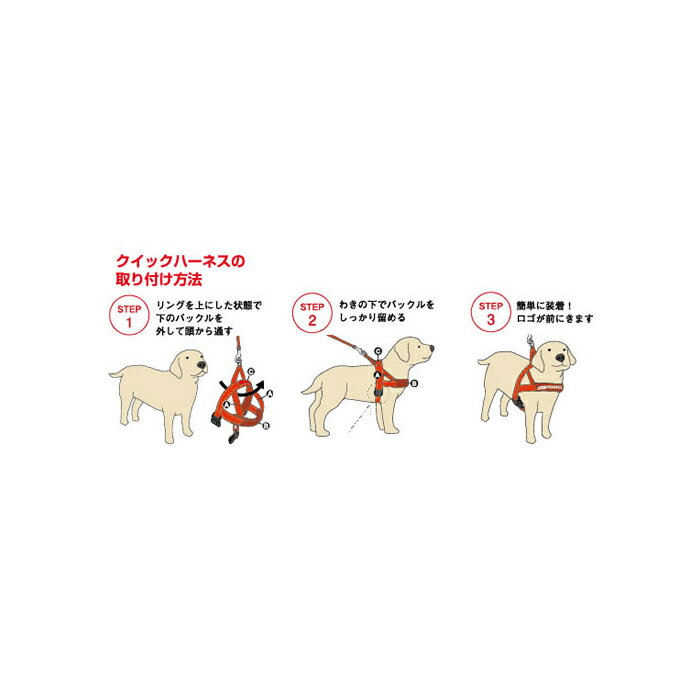 EZYDOG（イージードッグ） クイックハーネス レッド 小型犬 XS 3