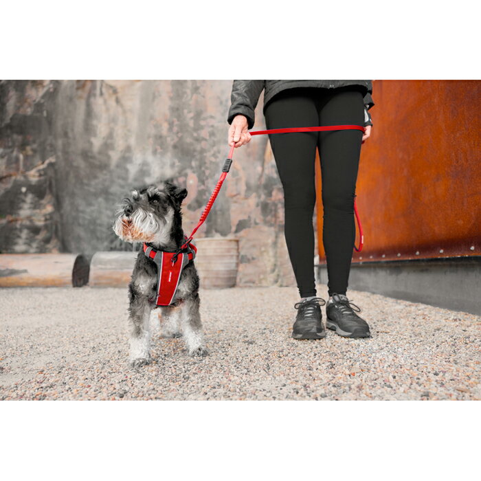 EZYDOG(イージードッグ) エックスリンク...の紹介画像2