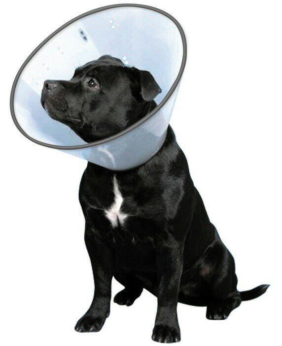 傷口をなめて困る時に VETカラー XL クリア 犬 ペット用 介護 手術 ケガ