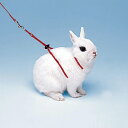 イタリアferplast社製 うさぎ用 ハーネス リード セット NY RAB HARNESS さんぽグッズ 散歩用品 お出かけ お散歩グッズ【tt】(4)