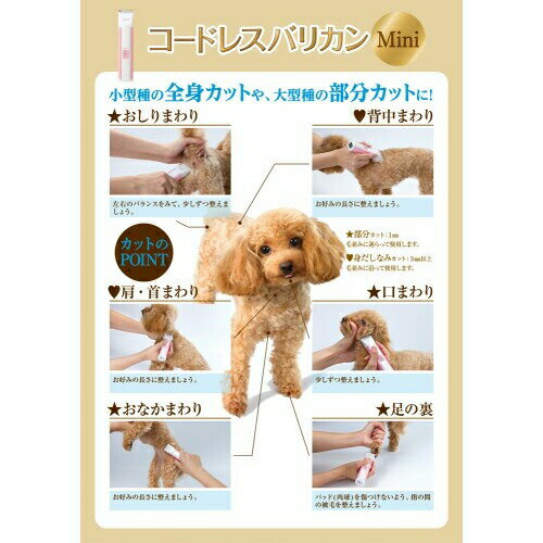 �ޥ륫�� �����ɥ쥹�Хꥫ�� �ߥ� DP-933