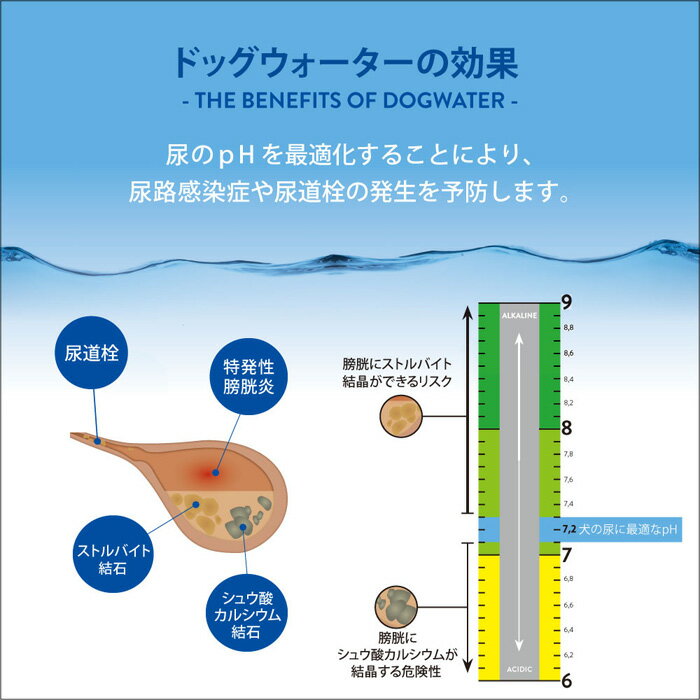 �ɥå� ���������� 500ml DOG WATER �� �� �ڥå� ŷ���� ��ʬ����tt��