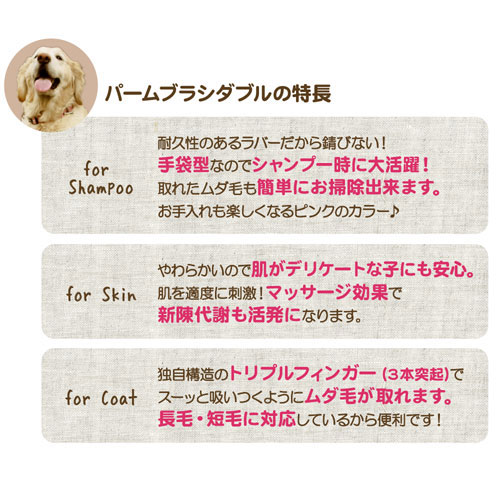 �ե��󥿥������� �ѡ��ࡦ�֥饷