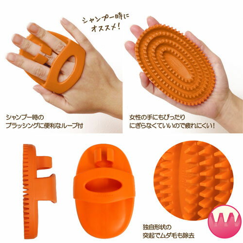 ���꡼�֥饷