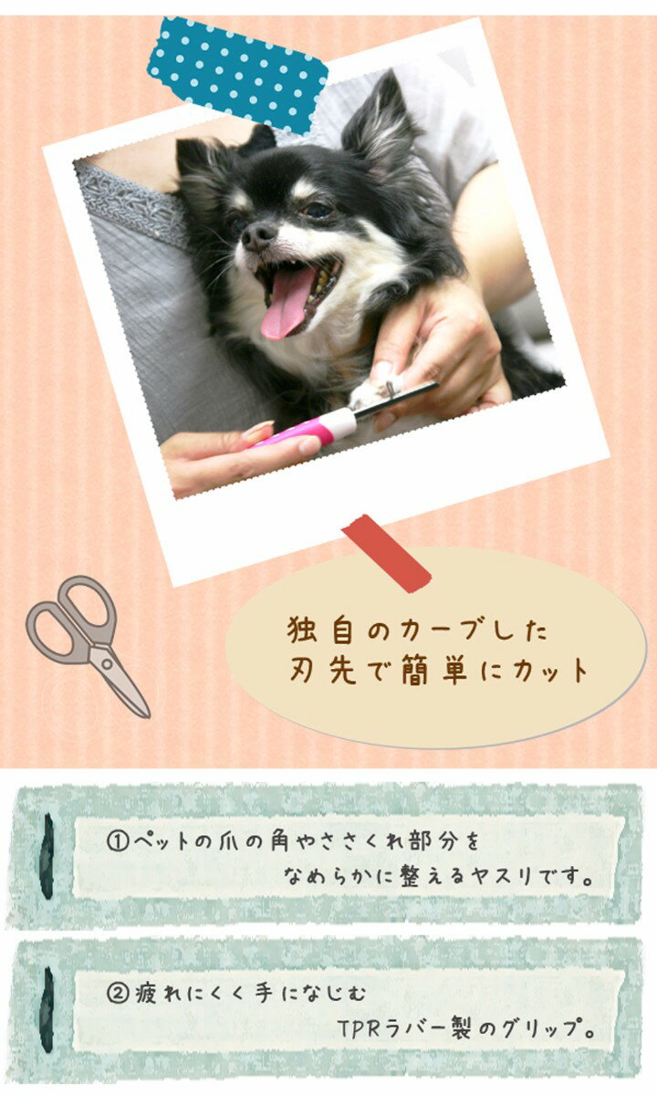 �ץ� �ͥ���ե����� �ޤ䤹���PG-06W��