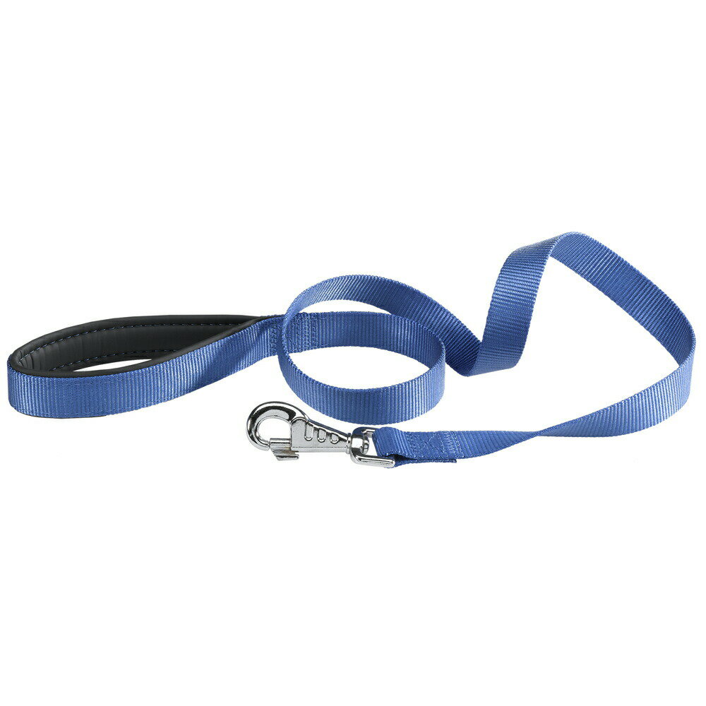 Collars, Harnesses, Leashes - イタリアferplast社製 デイトナ DAYTONA G 15/120 ブルー 犬 リード 散歩用品