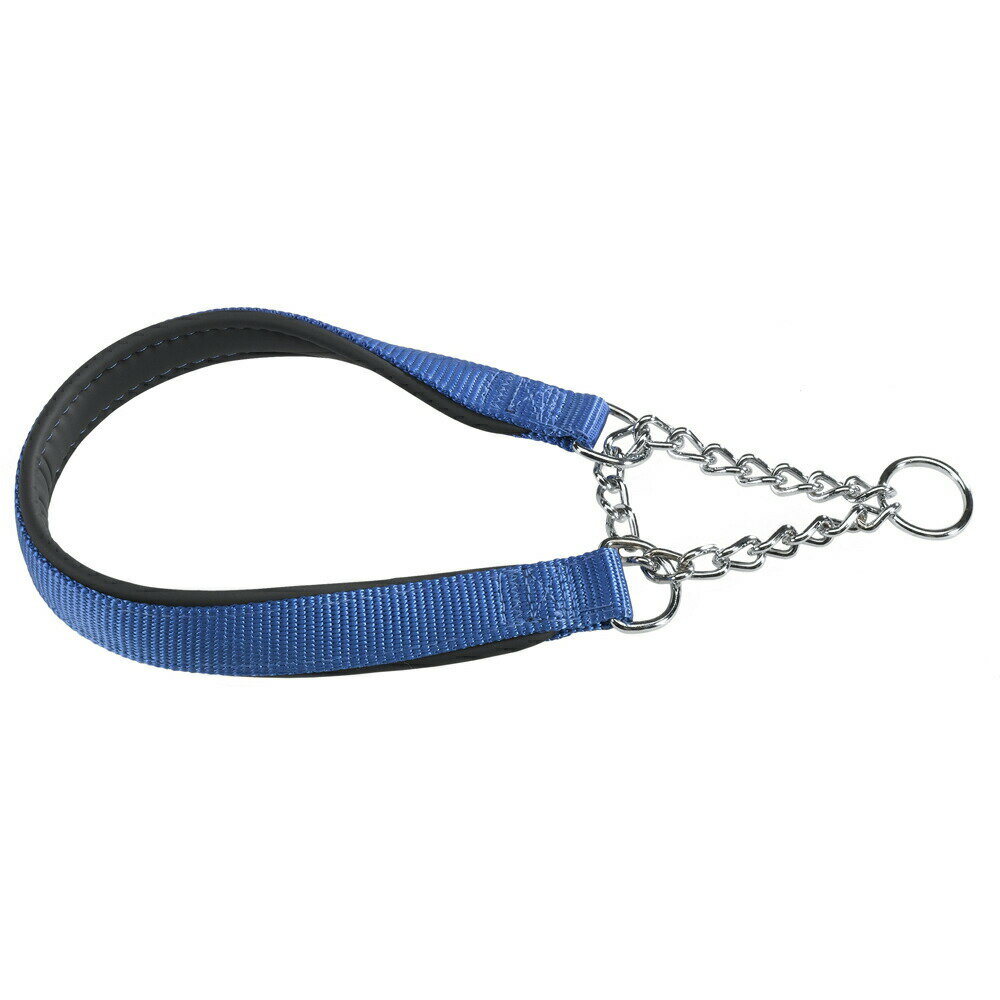 Rakuten - イタリアferplast社製 デイトナ CSS 25/60 ブルー 犬 首輪 チェーン ハーフチョーク 首回り60cm