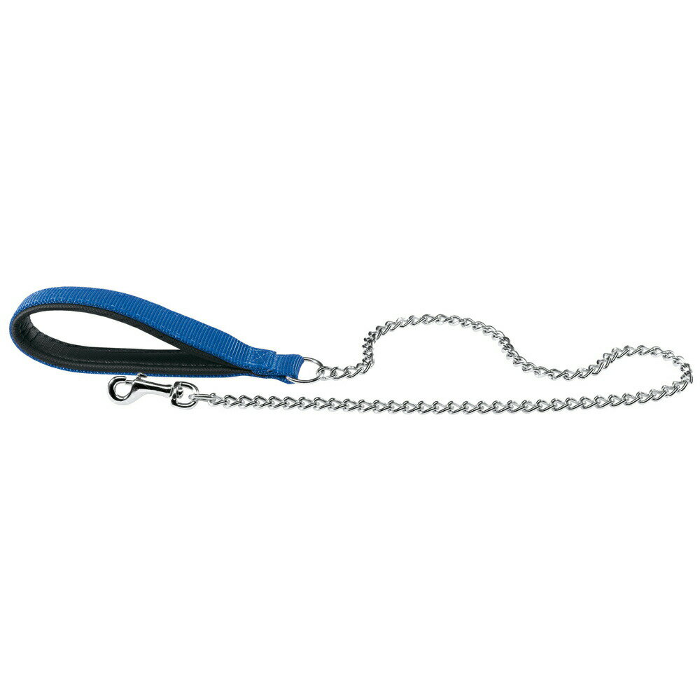 Collars, Harnesses, Leashes - イタリアferplast社製 デイトナ DAYTONA GM 25/100 ブルー 犬 リード チェーン