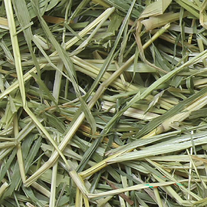 【毎週入荷の新鮮在庫】ハイペット パスチャー スーダングラス 400g