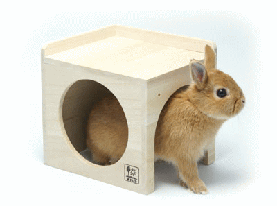 三晃(サンコー) サイコロハウスの紹介画像2