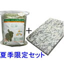 【令和2年度産新刈り】牧草市場USチモシー3番刈り牧草スーパーソフト500g　＋　小動物専用ひんやり天然石プレートセット（うさぎ・モルモット）