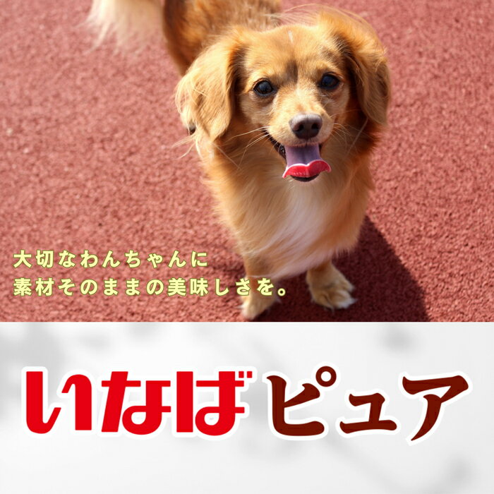 いなば ピュアパウチ とりささみ チーズ入り 30gの紹介画像3