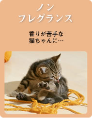 クイック＆リッチ トリートメントインシャンプー 愛猫用 ノンフレグランス 200ml