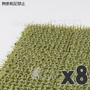 OPPO(オッポ) necoshiba(ネコシバ) 8枚入 グリーン