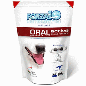 FORZA10 (եĥ10) 㸤ѡ 륢ƥ֡ʸС 2kg ʥȥ֥ ˡ ɥ饤աɡˡkp