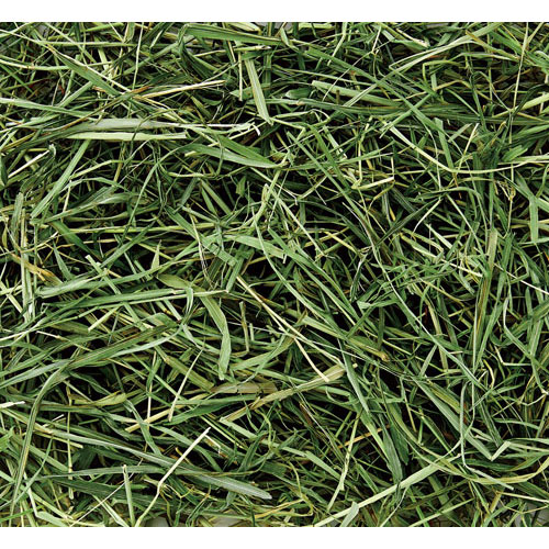 バニーグレードチモシーソフト 500gの紹介画像2