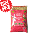 パインの木の上で 6L《在庫一掃セール》【sg】(4)
