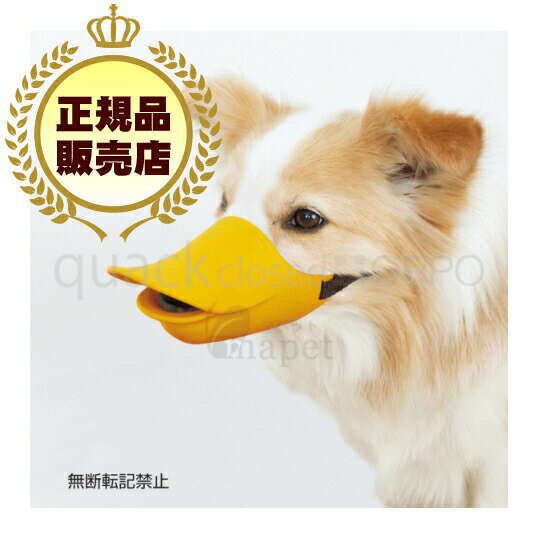 【送料無料】OPPO（オッポ） quackclosed（クァッククローズド） L オレンジ