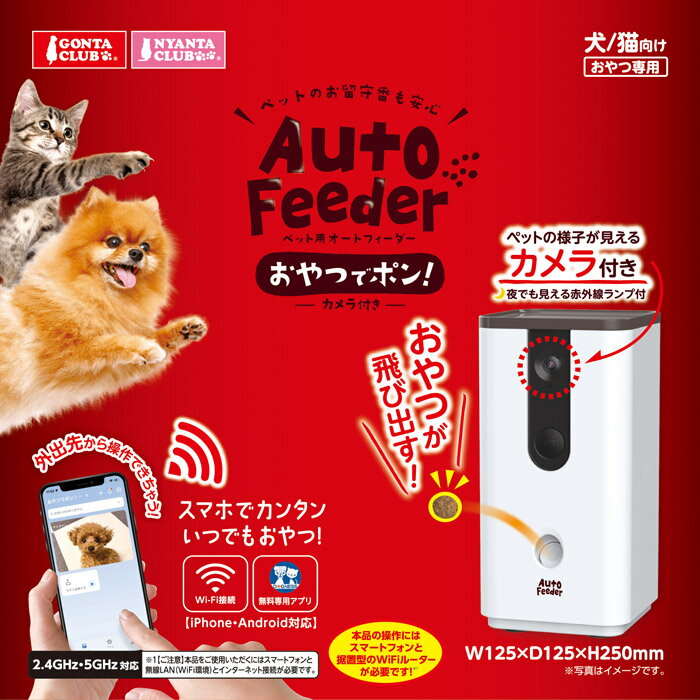 �ڥå��� �����ȥե�����������Ĥǥݥ� ������դ�