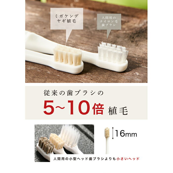 ミガケンデ 天然毛歯ブラシ 柔確植毛 ヤギ＆ウマ