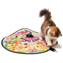 キャッチミーイフユーキャン2