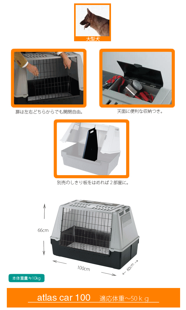 �����ꥢferplast���� ���ȥ饹���� 100