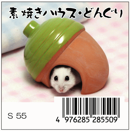 素焼きハウス どんぐり