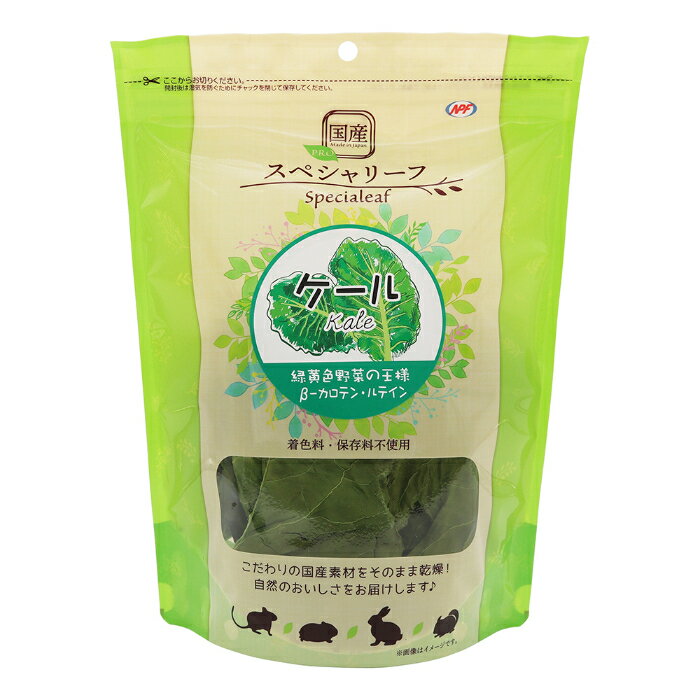 PRO ���ڥ���꡼�� ������ 12g