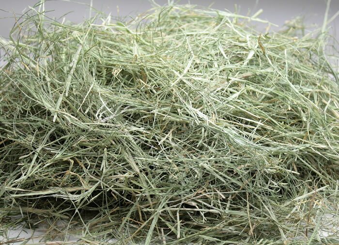 【送料無料特価】牧草市場バミューダヘイ5kg