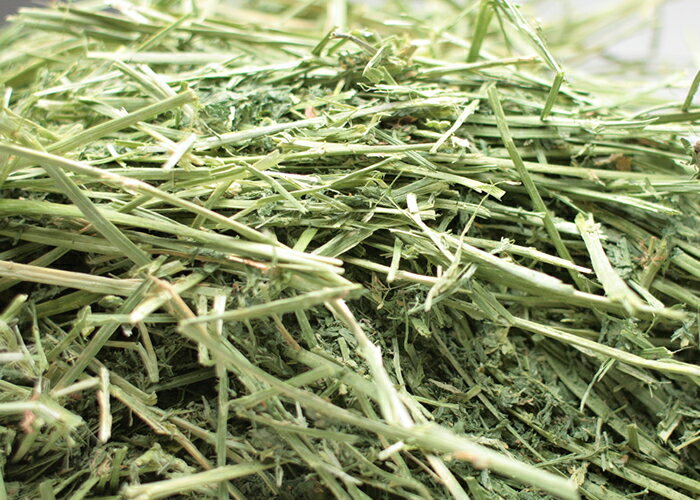 牧草市場 アルファルファプレミアム 牧草 お試しサイズ100g ～ 独創的 うさぎ モルモットなどの牧草