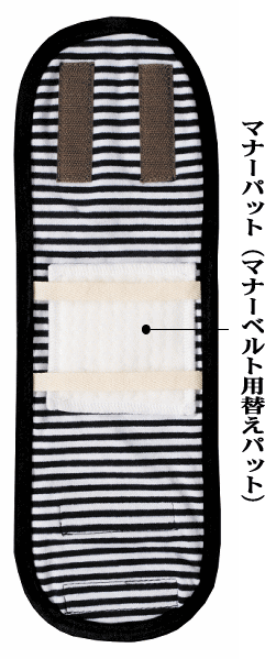 �ޥʡ��ѥå� SS 2������