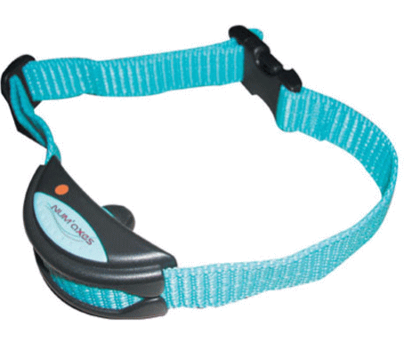 �֥륽�˥å���̵���ʤ��ɻߴ��