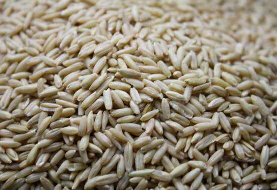 ����Ծ� ������500g�ʳ̤ʤ�������������