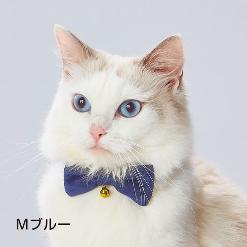 necoco ��ܥ���C���顼M ��