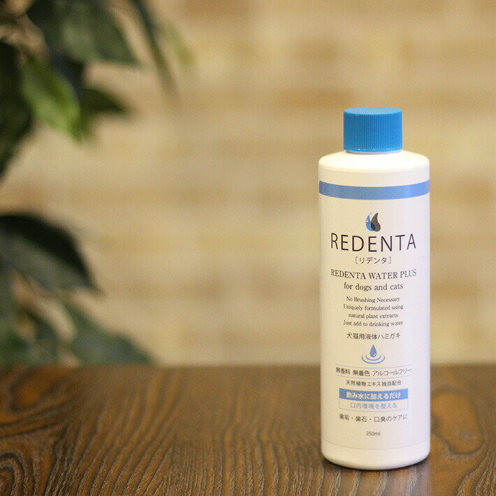 【送料無料】リデンタ ReDenta ウォータープラス 250ml 【液体ハミガキ】