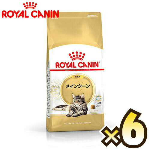 【お得なケース売り】ロイヤルカナン（ROYAL CANIN） メインクーン FBN 成猫用 生後15ヶ月齢から12歳まで 1ケース（2kg×6個）
