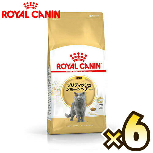 楽天マペット【お得なケース売り】ロイヤルカナン（ROYAL CANIN） ブリティッシュショートヘアー FBN 成猫用 生後12ヶ月齢から12歳まで 1ケース（2kg×6個）