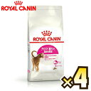 【お得なケース売り】ロイヤルカナン（ROYAL CANIN） アロマ エクシジェント FHN 生後12ヶ月齢から7歳まで 1ケース（4kg×4個）