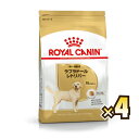 yȃP[XzCJiiROYAL CANINj uh[go[ BHN 獂p 15ȏ 1P[Xi3kg~4j