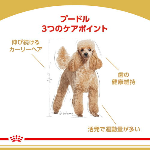 ロイヤルカナン(ROYAL CANIN) プー...の紹介画像2