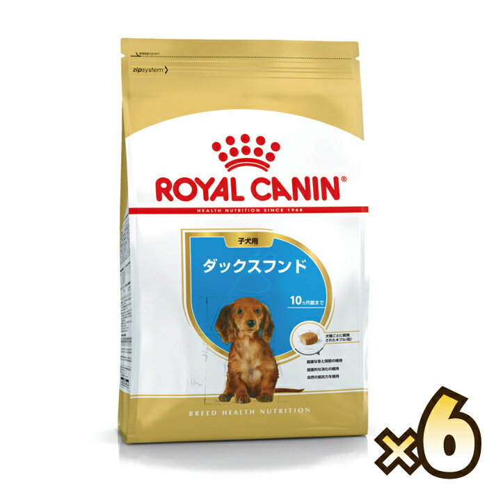 【お得なケース売り】ロイヤルカナン（ROYAL CANIN） ダックスフンド ブリード ヘルス ニュートリション 子犬用 生後10ヶ月齢まで 1ケース（1.5kg×6個）